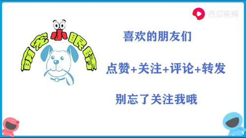 只要一顶嘴就会被主人扇巴掌小说最新章节免费阅读,按在怀里用巴掌扇到哭训诫文插图1