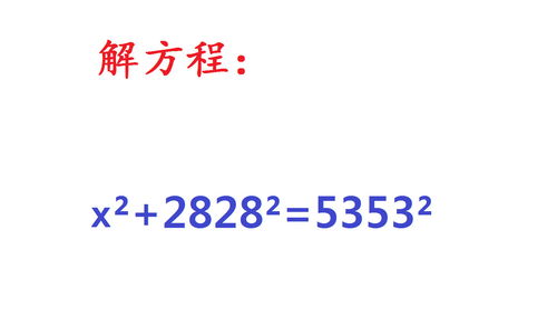 28282在线观看网,影视娱乐的全新选择插图2